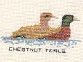 Chestnut-Teals